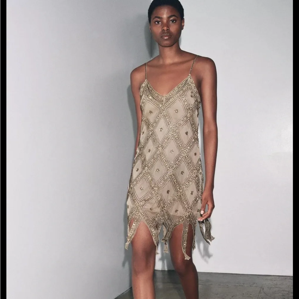 Zara limited edition EMBROIDERED TULLE Mini DRESS - Picture 2 of 15